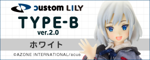  TYPE-B ver.2.0（ホワイト）