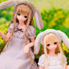 春うさぎさん/みあ通常