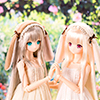 Alice/Time of grace Ⅲ Caffe latte　04