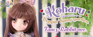 こはる／Poppin’bunny garden （Fancy Rabbit ver．）