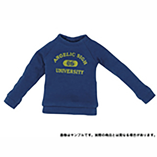 AngelicSigh カレッジロゴトレーナー AngelicSigh カレッジロゴトレーナー