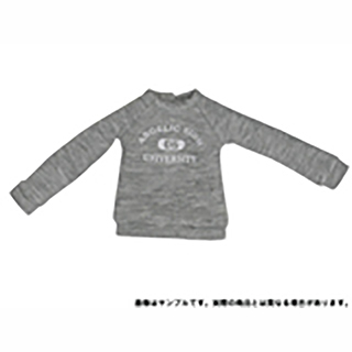 AngelicSigh カレッジロゴトレーナー AngelicSigh カレッジロゴトレーナー