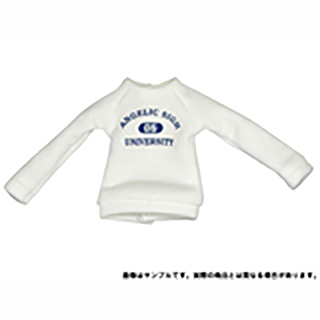 AngelicSigh カレッジロゴトレーナー AngelicSigh カレッジロゴトレーナー