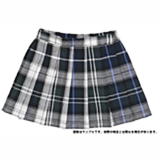 50プリーツスカート