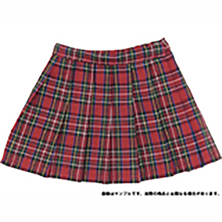 50プリーツスカート