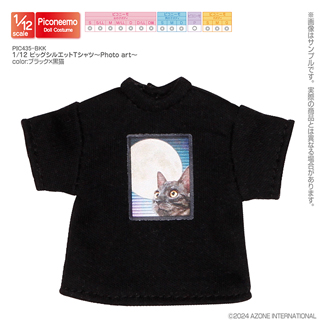 1／12 ビッグシルエットTシャツ～Photo art～