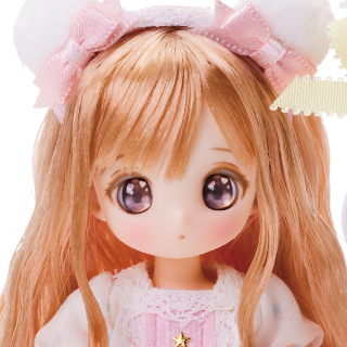 シュガーカップス ビスケティーナ アゾンダイレクトストア限定販売