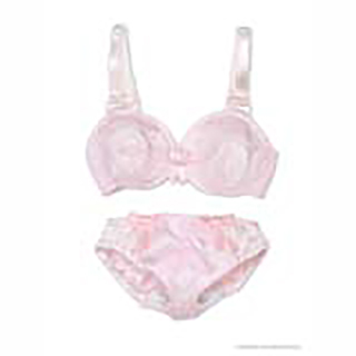 50レースブラ＆ショーツset