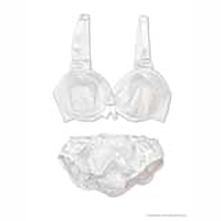 50レースブラ＆ショーツset