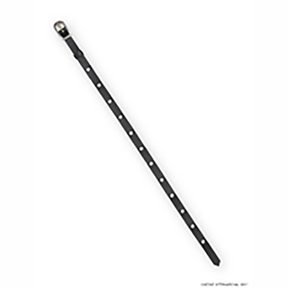 50バックルベルト