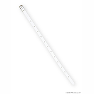 50バックルベルト