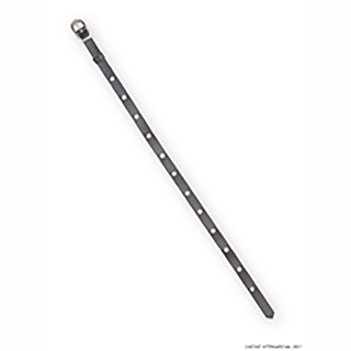 50バックルベルト