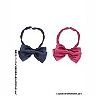 50無地リボンタイset