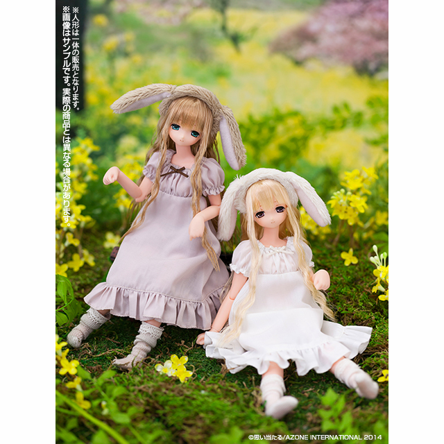 AZONE INTERNATIONAL::えっくす☆きゅーと::商品詳細