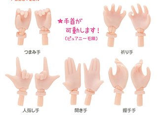 AZONE INTERNATIONAL::ピュアニーモ::TOPページ
